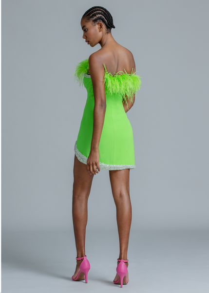 CREPE EMBROIDERED ONE SHOULDER DRESS WITH FEATHERS